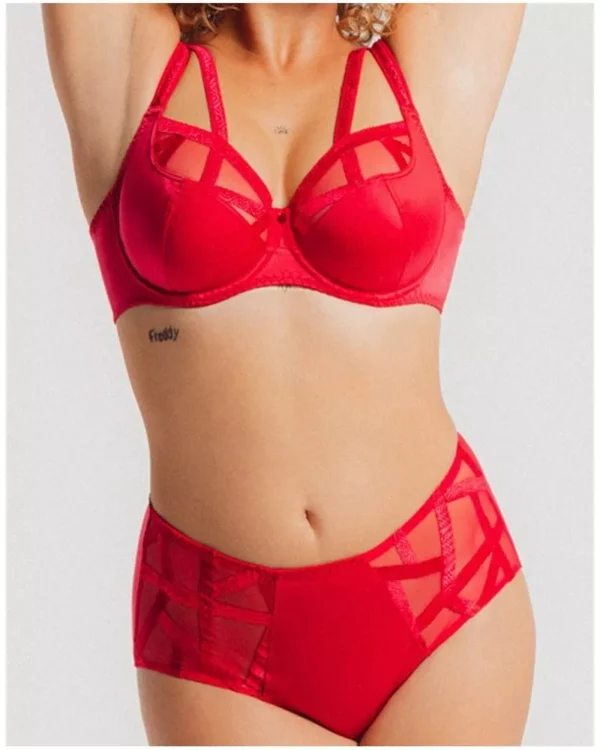 ROUGE A LEVRE CULOTTE HAUTE